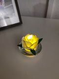 Blume LED Teelichter