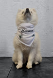 JG Personalisierte Geschenke - Personalisiertes Foto-Hundehalstuch | Foto-Hundeschal | Schal für Haustiere